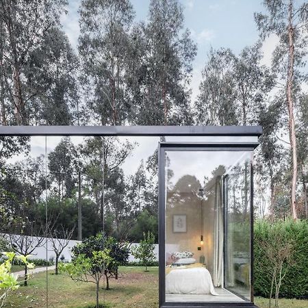 Villa No Jardim Dos Aromas Gião المظهر الخارجي الصورة