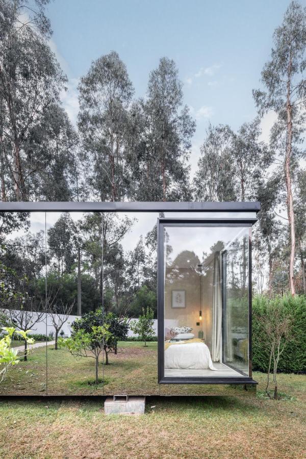 Villa No Jardim Dos Aromas Gião المظهر الخارجي الصورة