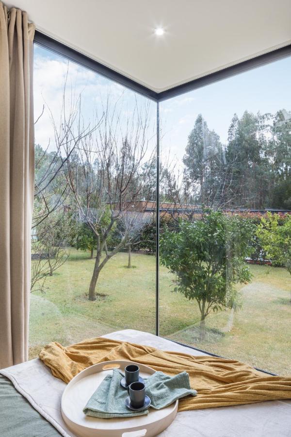 Villa No Jardim Dos Aromas Gião المظهر الخارجي الصورة