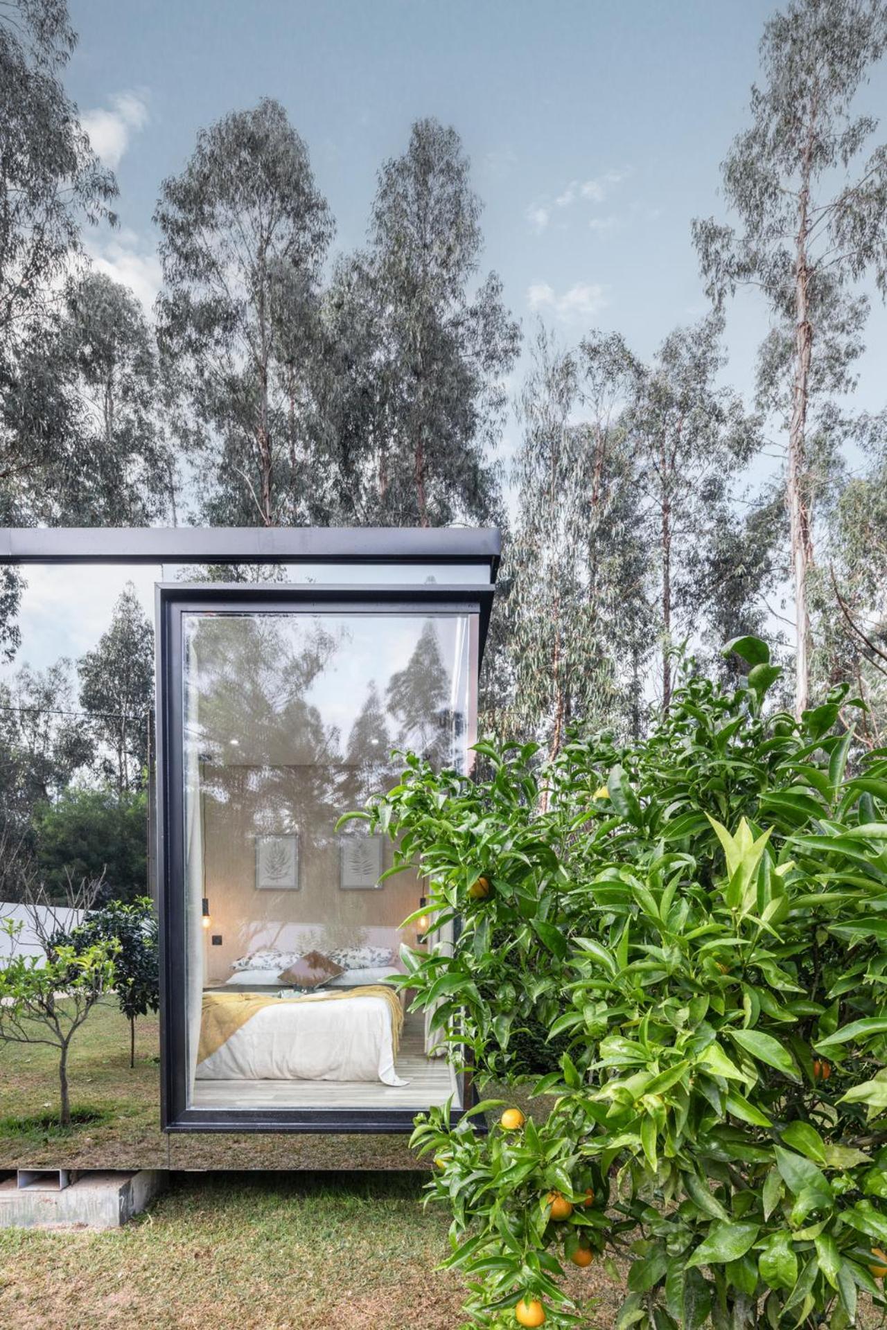 Villa No Jardim Dos Aromas Gião المظهر الخارجي الصورة